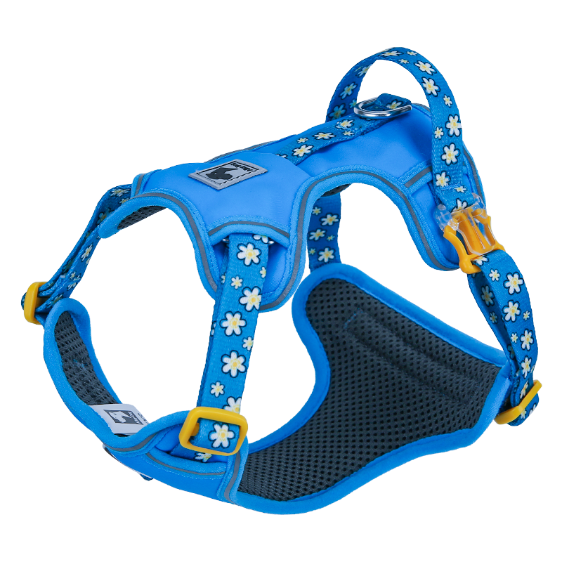 LIGHTWEIGHT HARNESS