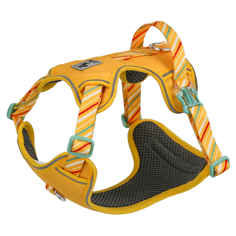 LIGHTWEIGHT HARNESS