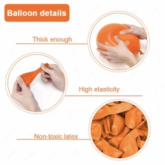 Standard Colors Balloons,Celetex Balloon