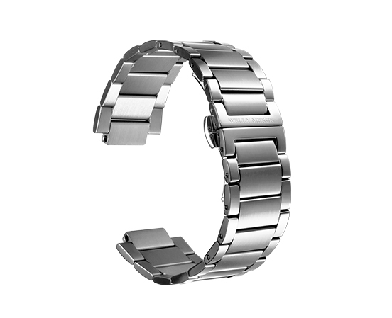 Stainless Steel Strap·silver