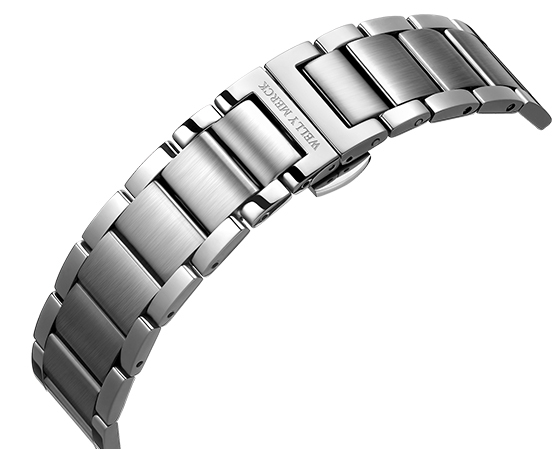 Stainless Steel Strap·silver