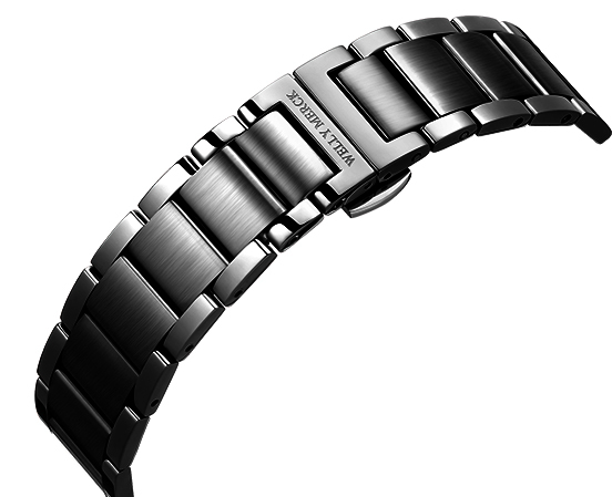 Stainless Steel Strap·black