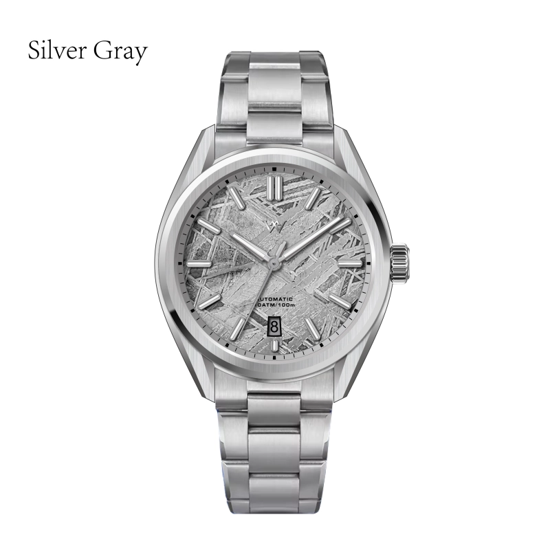 WM217 Natural Meteorite Stone 40mm Dial NH35 Men's Automatic Mechanical Watch