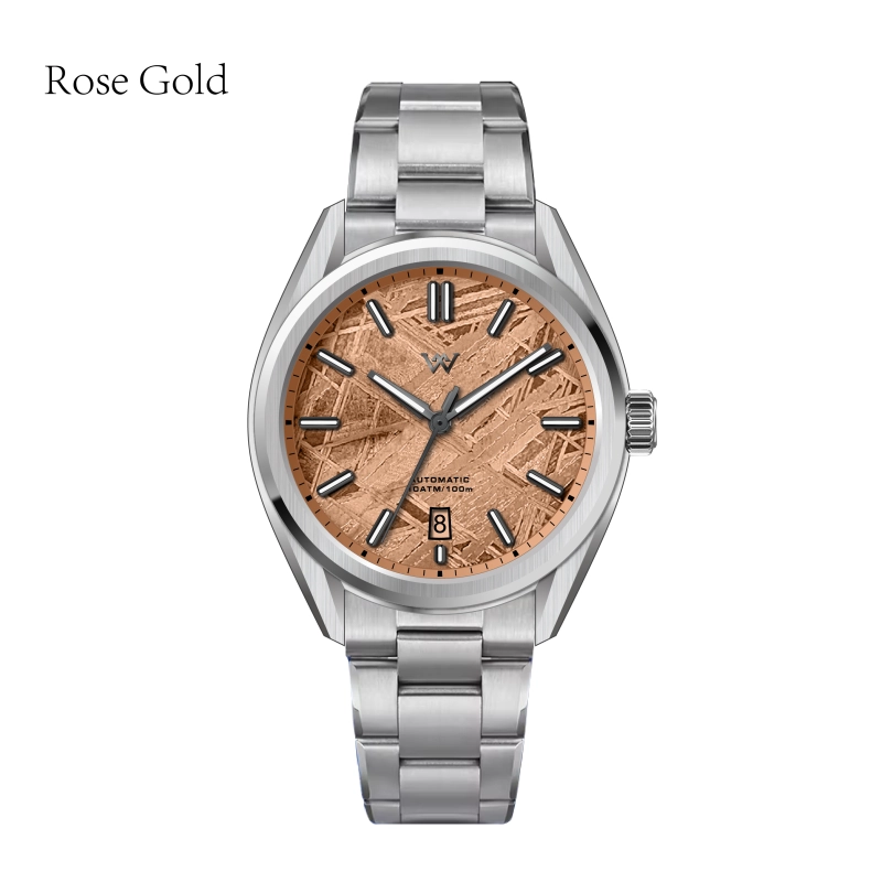WM217 Natural Meteorite Stone 40mm Dial NH35 Men's Automatic Mechanical Watch