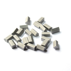 Tungsten Carbide Tips For Mining From Zhuzhou Factory