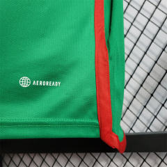 2022 Mexico Away Jersey Replica World Cup
