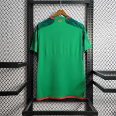2022 Mexico Away Jersey Replica World Cup