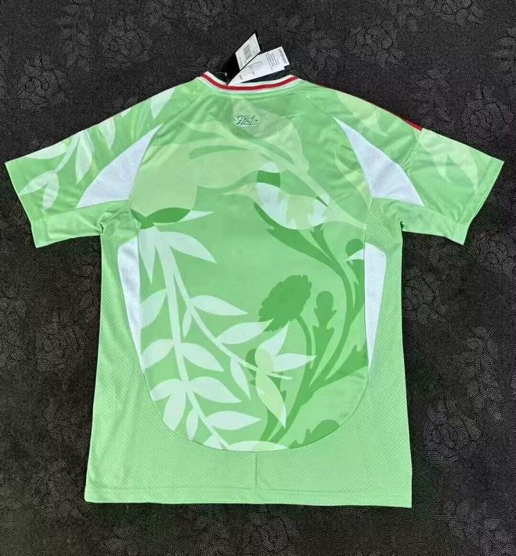 2025/26 Italy Training Jersey (Women Football)