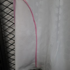 2025/26 Juventus Home Player Version Shorts 