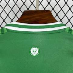 2025/26 Newcastle United Away Jersey 