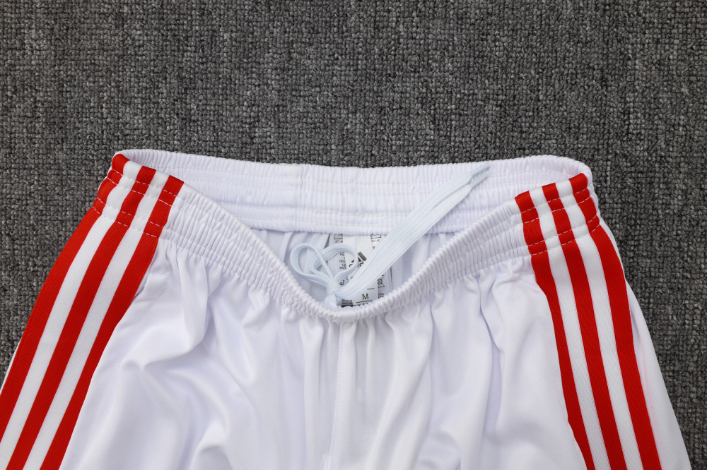 2025/26 Bayern Munich Kids Long sleeves Training Set