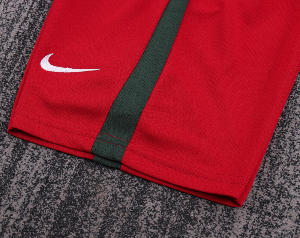 2016 Euro Cup Portugal Home Retro Kids Jersey 