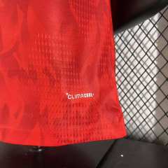 2026 Belgium Home Jersey Player Version 