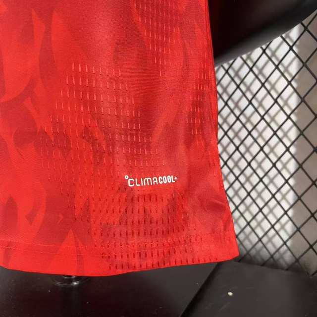 2026 Belgium Home Jersey Player Version 