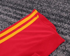 2008 Euro Cup Spain Home Retro Kids Jersey  