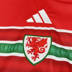 2026 World Cup Wales Home Jersey