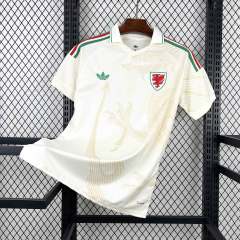 2026 World Cup Wales Away Jersey