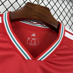 2026 World Cup Wales Home Jersey