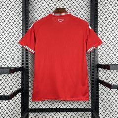 2026 World Cup Wales Home Jersey