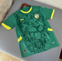 2025/26 Senegal Away Jersey 