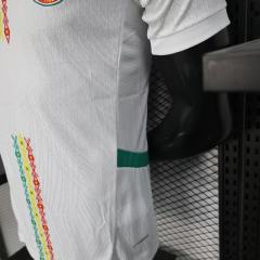 2025/26 Senegal Home 2 Star Jersey Player Version 