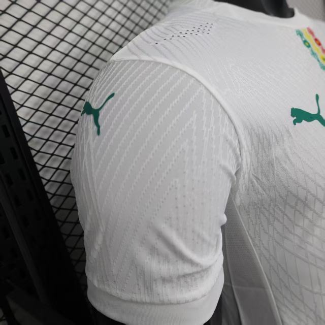 2025/26 Senegal Home 2 Star Jersey Player Version 
