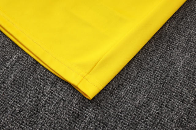 2025/26 Brazil Long sleeves Training Set