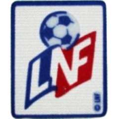 Ligue 1 Patch