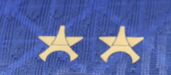 With 2 Star