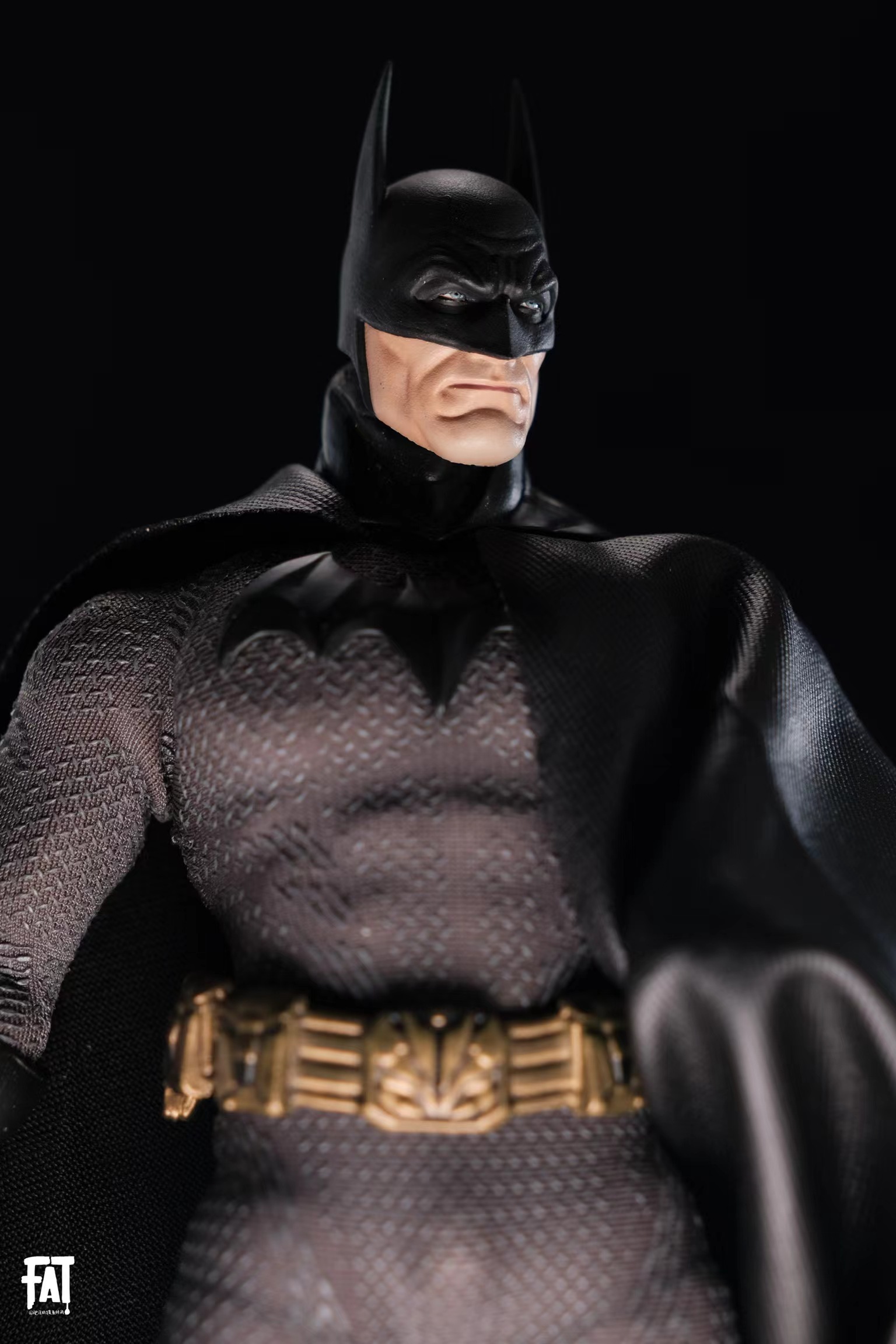 Alex Ross AR batman  headsculpt  ct35