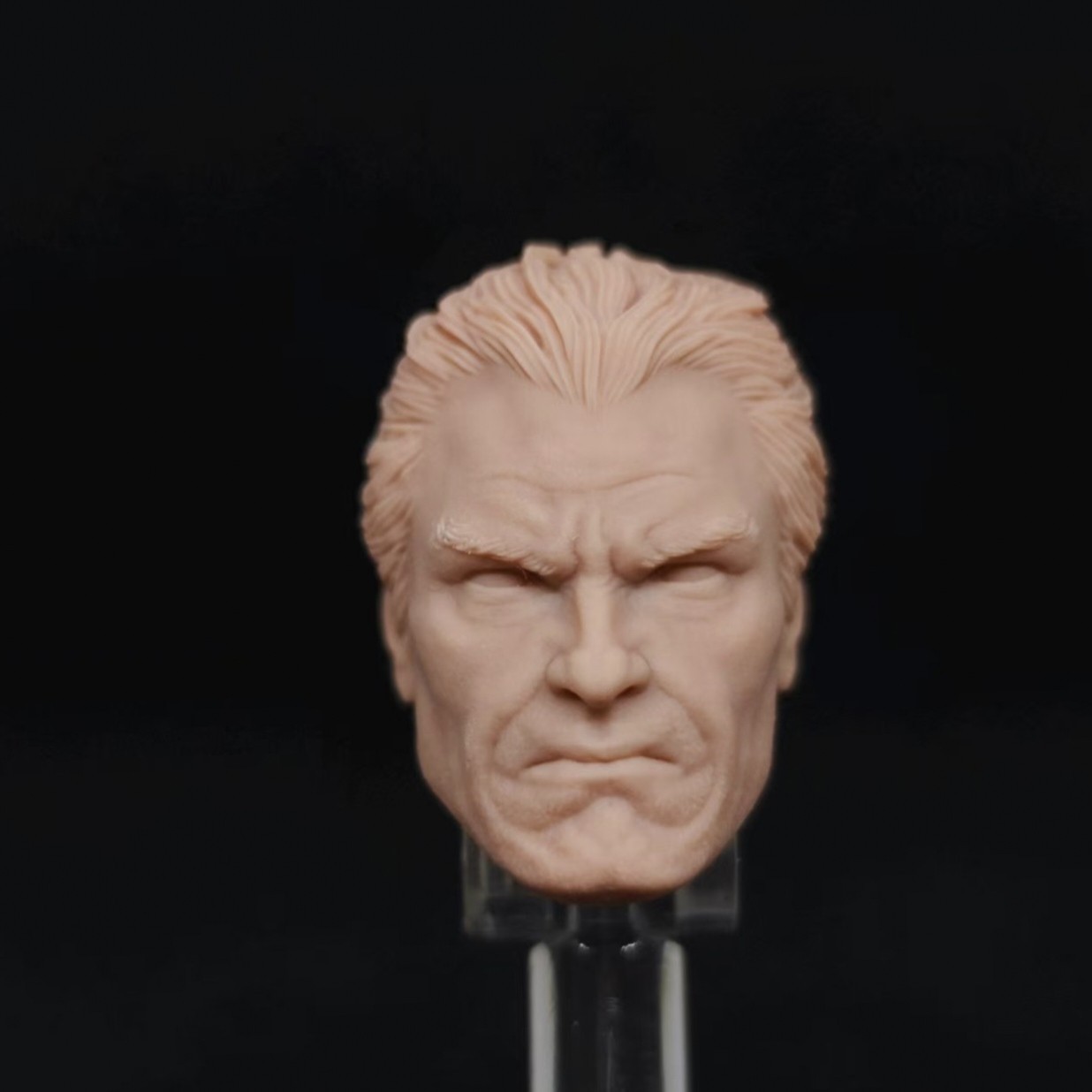 Marvel AR Punisher Alex Ross v2 unpainted headsculpt bm23685