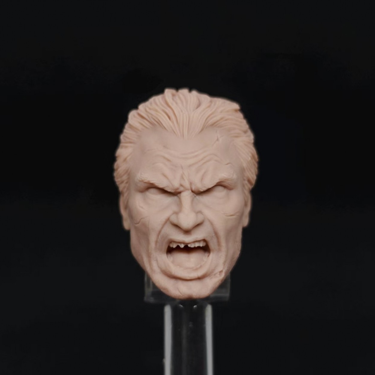 Marvel AR Punisher Alex Ross v2 unpainted headsculpt bm23685