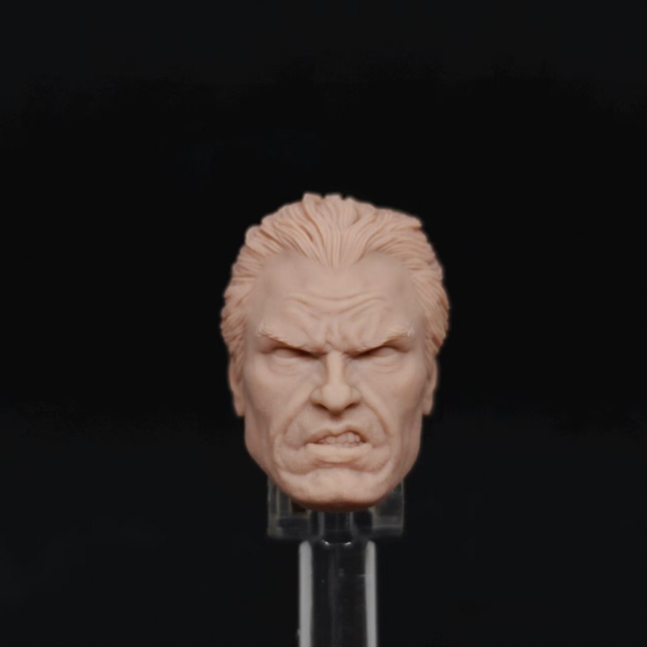 Marvel AR Punisher Alex Ross v2 unpainted headsculpt bm23685