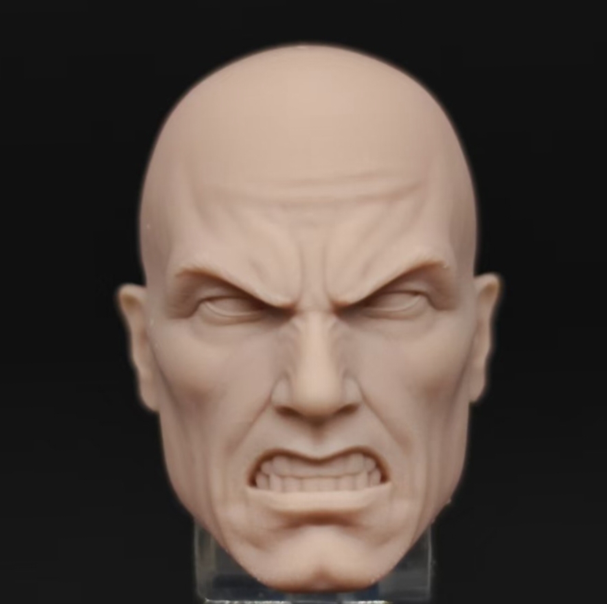 Marvel Professor X X-Men unpainted headsculpt bm23817