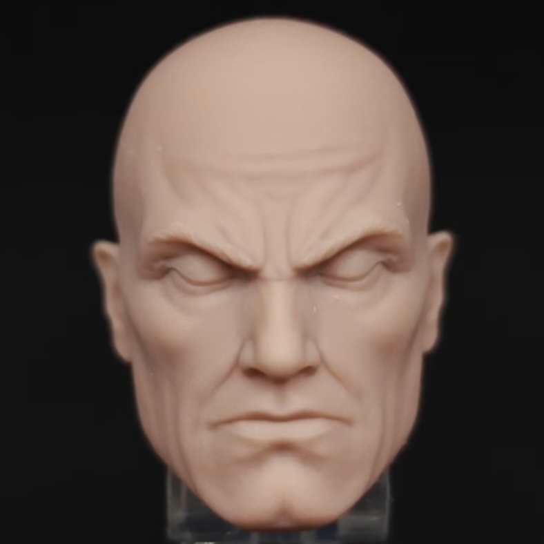 Marvel Professor X X-Men unpainted headsculpt bm23817