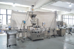 Automatic Granule Material Filling and Capping Sealing Machine Production Line Nuts Rice Snack Pistachio Cashew Nut Almond Pecan
