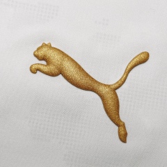 Metallic Silicone Heat Transfer