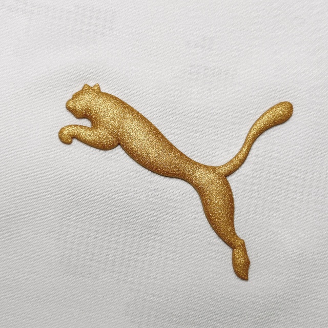 Metallic Silicone Heat Transfer