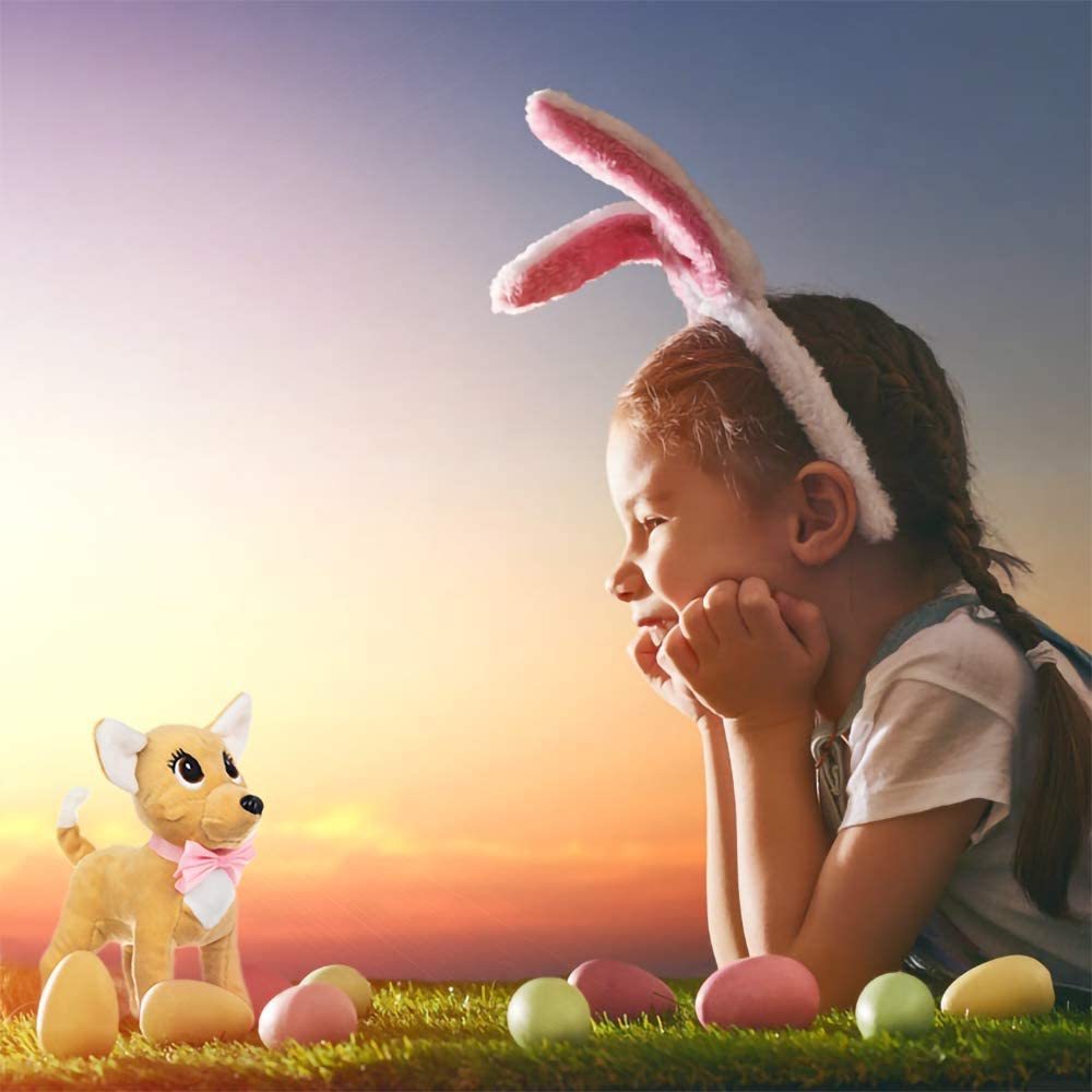 18 Inch Girl Doll Butterfly Design Carrier Bag with Clothes and Accessories Including 18 Inch Doll Clothes, Shoes, Sunglasses, Doll Backpack and Toy Dog