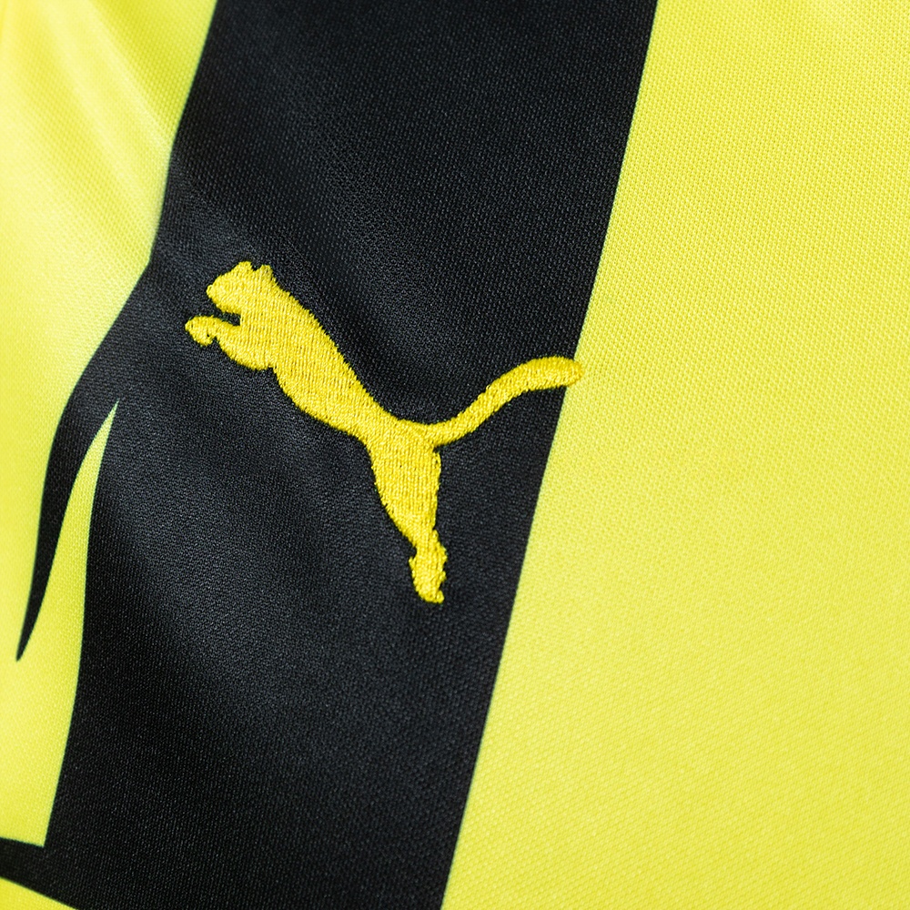 2012-13 BORUSSIA DORTMUND EUROPEAN