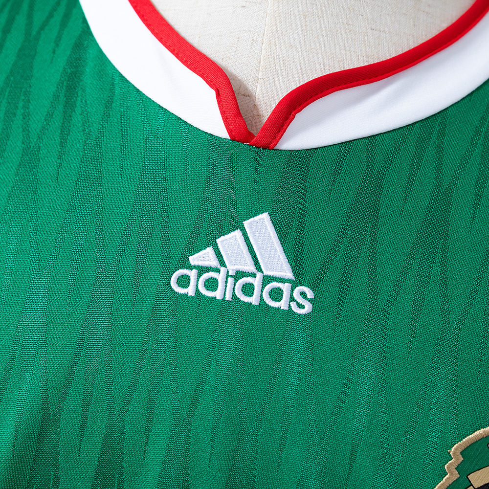 2010 MEXICO HOME