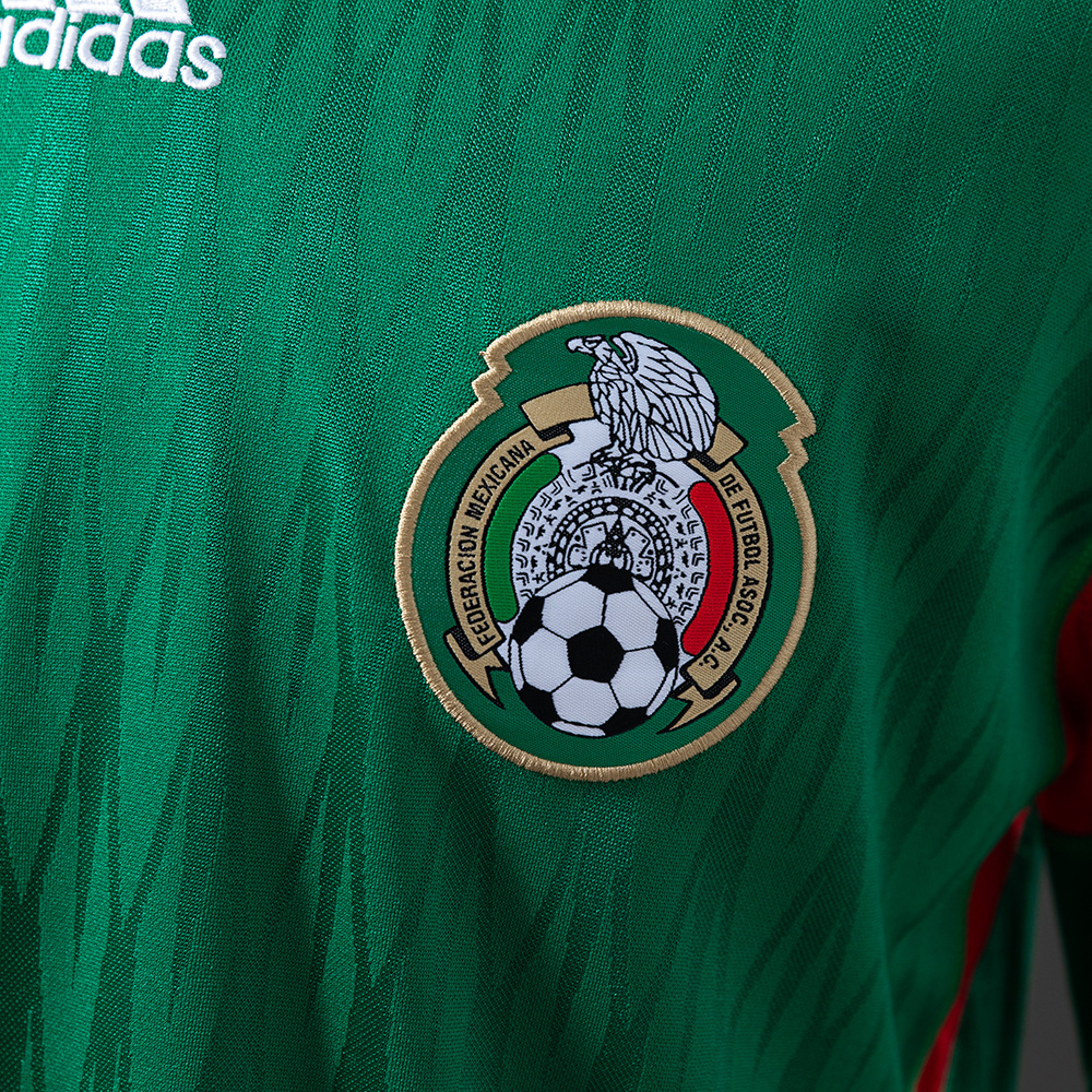 2010 MEXICO HOME