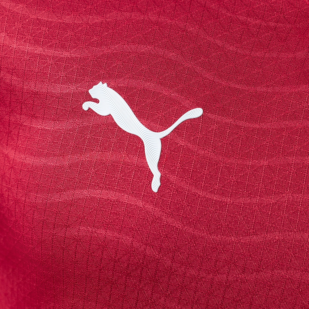 2026 PORTUGAL WORLD CUP HOME LONG-SLEEVE (PLAYER VERSION)