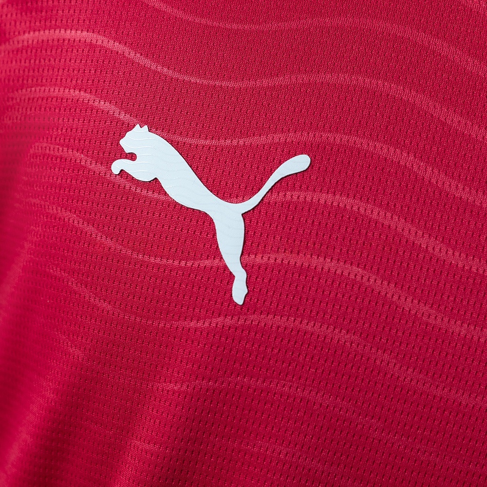 2026 PORTUGAL WORLD CUP HOME LONG SLEEVE (FAN VERSION)