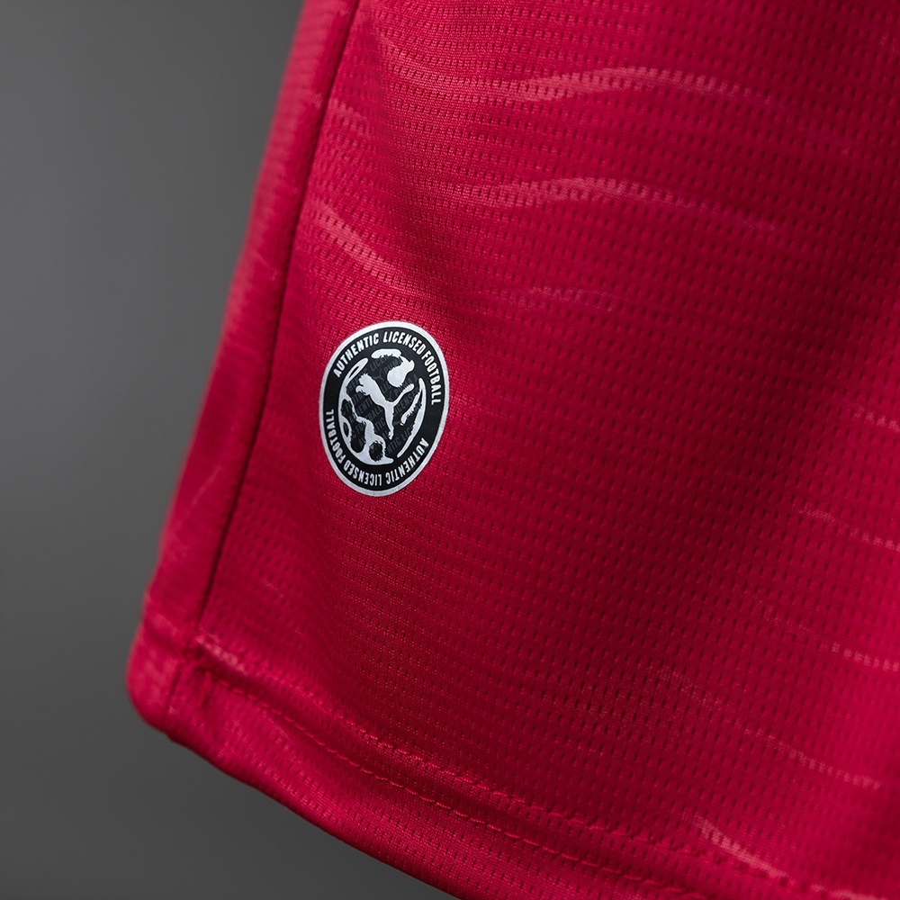 2026 PORTUGAL WORLD CUP HOME LONG SLEEVE (FAN VERSION)
