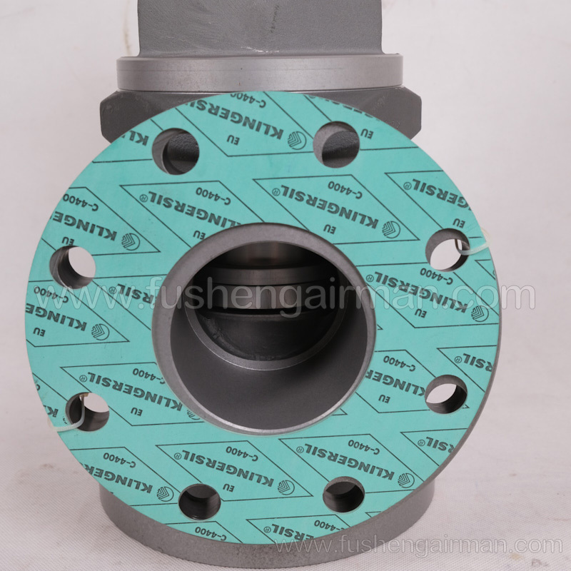 2104020039 Fusheng Genuine Screw Air Compressor 3" Pressure Maintenance Valve with Gasket