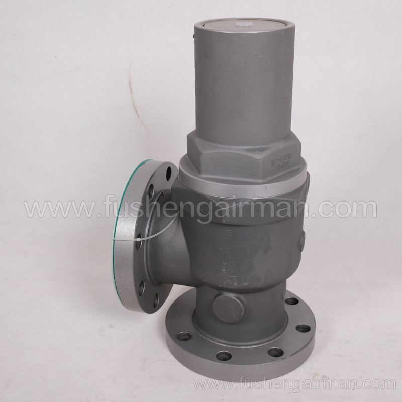 2104020039 Fusheng Genuine Screw Air Compressor 3" Pressure Maintenance Valve with Gasket