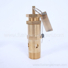 2104110093=9313215-102406-09 Fusheng Screw Compressor 3/4", 9barg Safety Valve A28X-16T