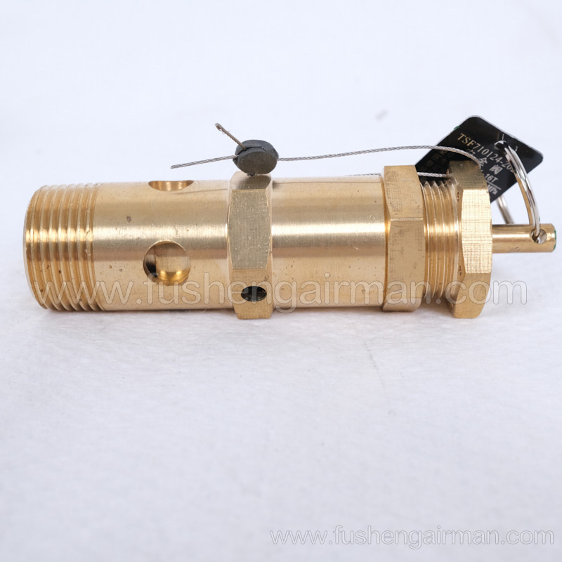 2104110093=9313215-102406-09 Fusheng Screw Compressor 3/4", 9barg Safety Valve A28X-16T