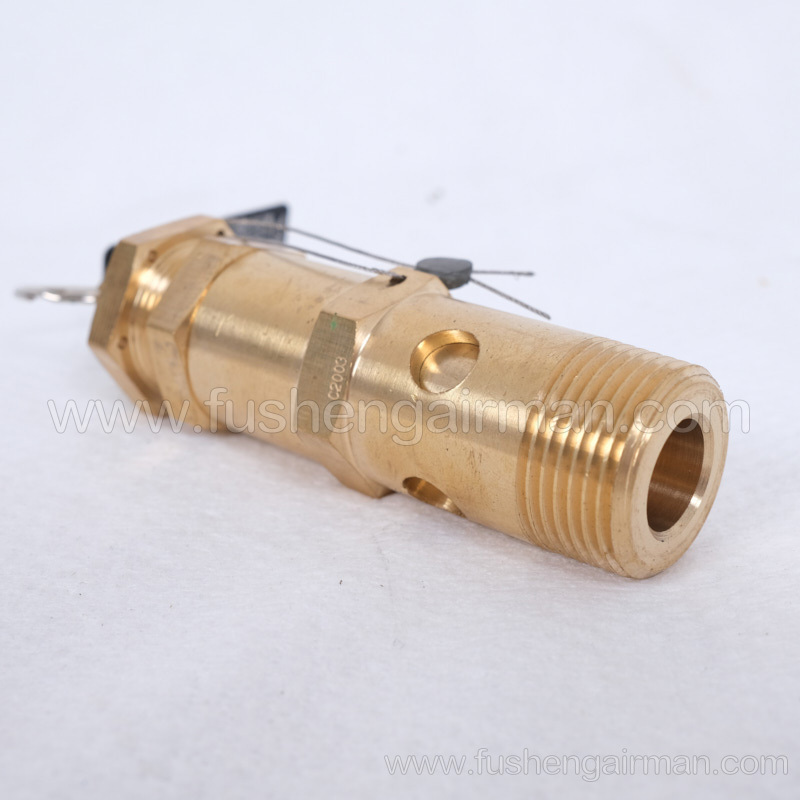 2104110093=9313215-102406-09 Fusheng Screw Compressor 3/4", 9barg Safety Valve A28X-16T